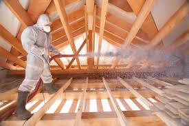 Best Spray Foam Insulation  in Caro, MI